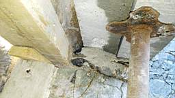 acastle
                          101750.jpg